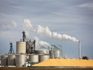 Ethanol Recovery Plant from Corn Cob