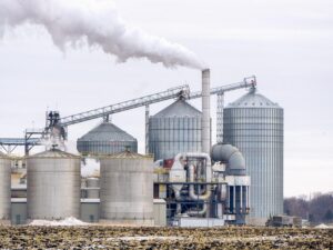 Ethanol Recovery Plant from Food Grains