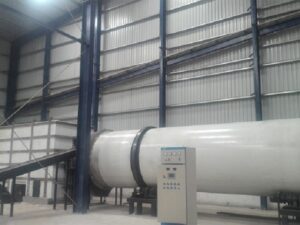 Paddle Rotary Dryer