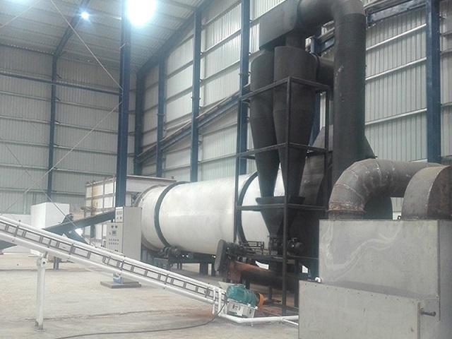 Paddle Rotary Dryer