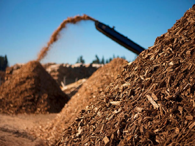 biomass drying