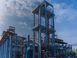 biomass processing and production plant