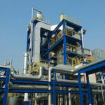 biomass processing and production plant