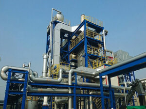 biomass processing and production plant